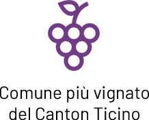 Comune più vignato del Ticino